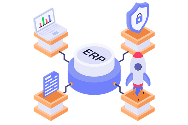 Custom ERP Development
