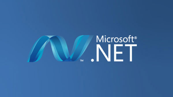 .NET software service provider